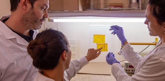 Investigadores detectan bocavirus que provocan infecciones respiratorias en pacientes pediátricos