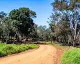 El Karai Guasu