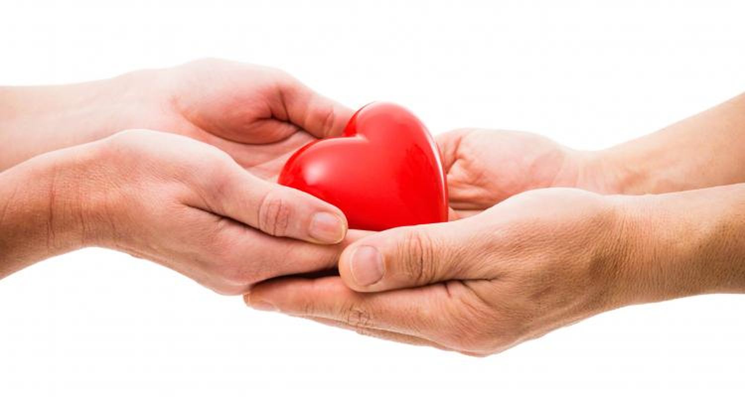 #LaOtraElección: Red Solidaria e Incucai inscribirán a donantes de órganos en los comicios este domingo