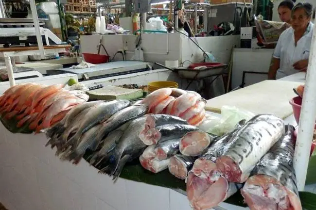 La mutación del comercio de la pesca en el tiempo