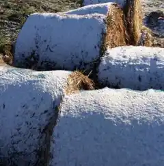 El Servicio Meteorológico Nacional pronostica nieve para esta noche en Tandil