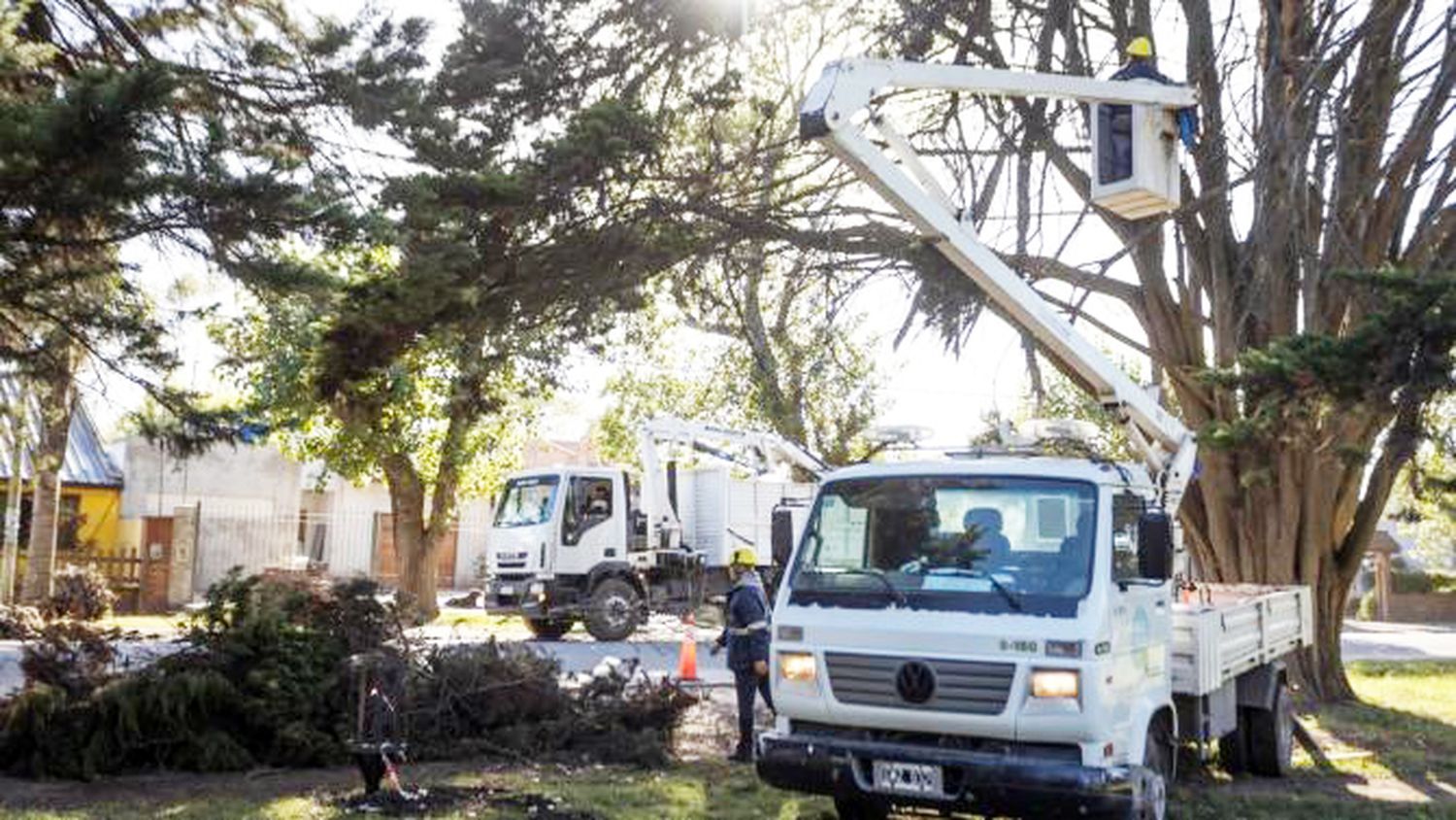 Mar del Plata. Tareas en espacios públicos del barrio Camet