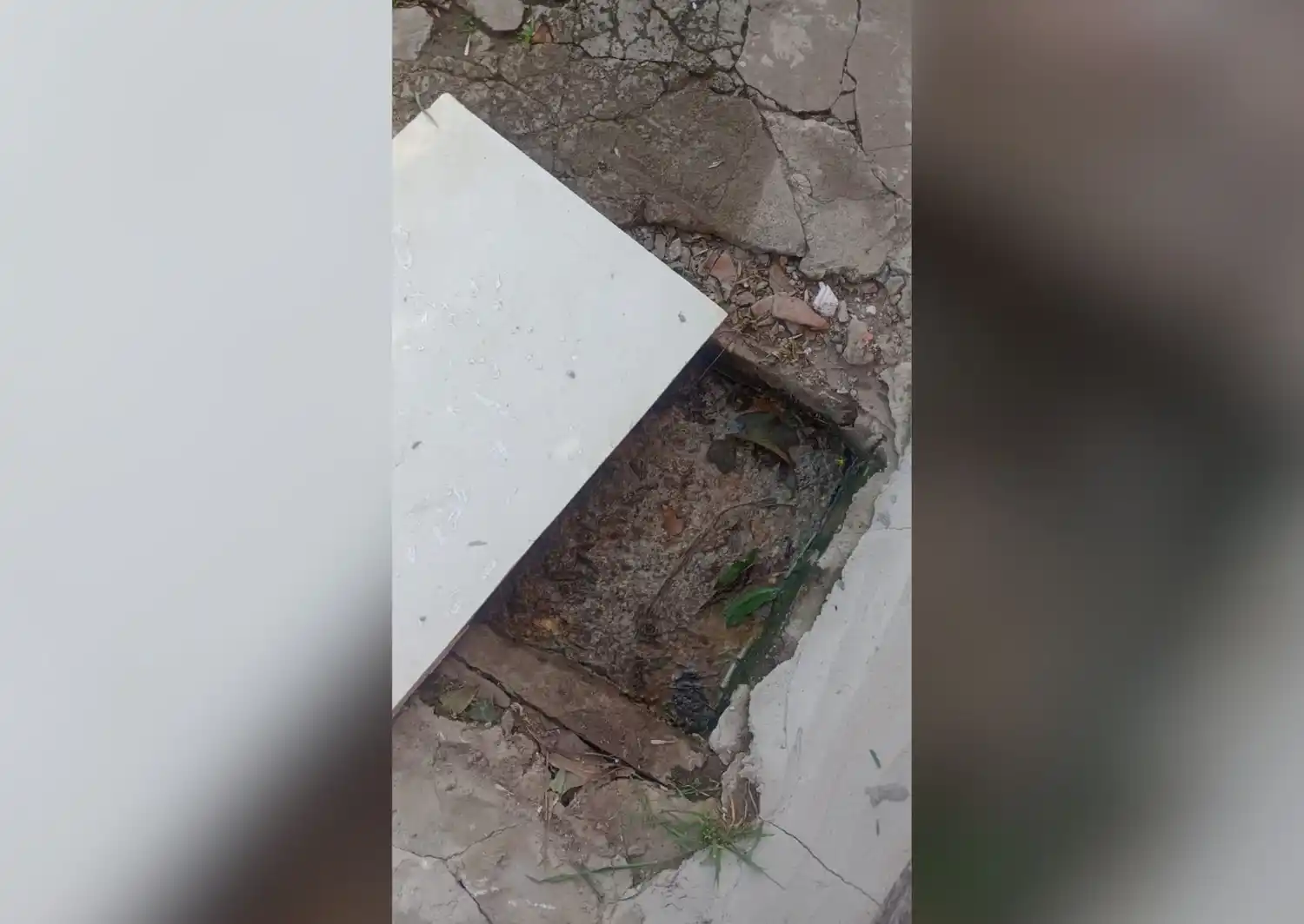 “Hace más de dos meses están tapadas las cloacas”