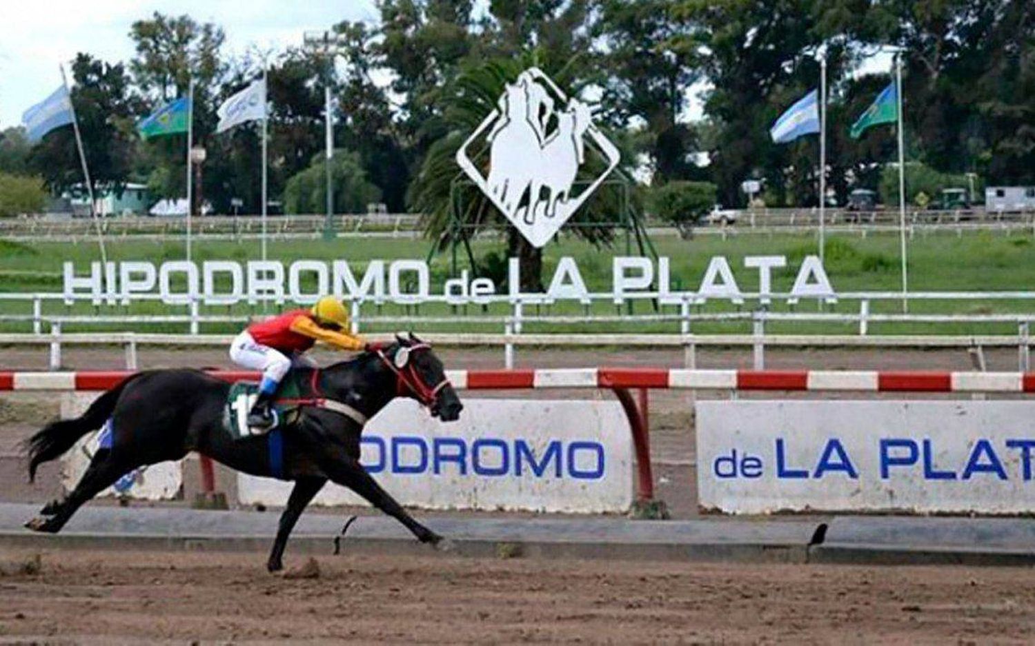 Domingo 19: Actividad en el Hipódromo de La Plata