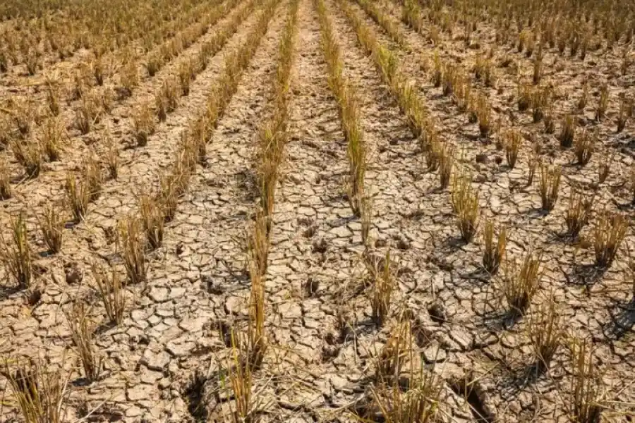 La sequía golpea fuertemente en la región: “La faltante hídrica la venimos soportando desde hace tres años, no es solo de ahora”
