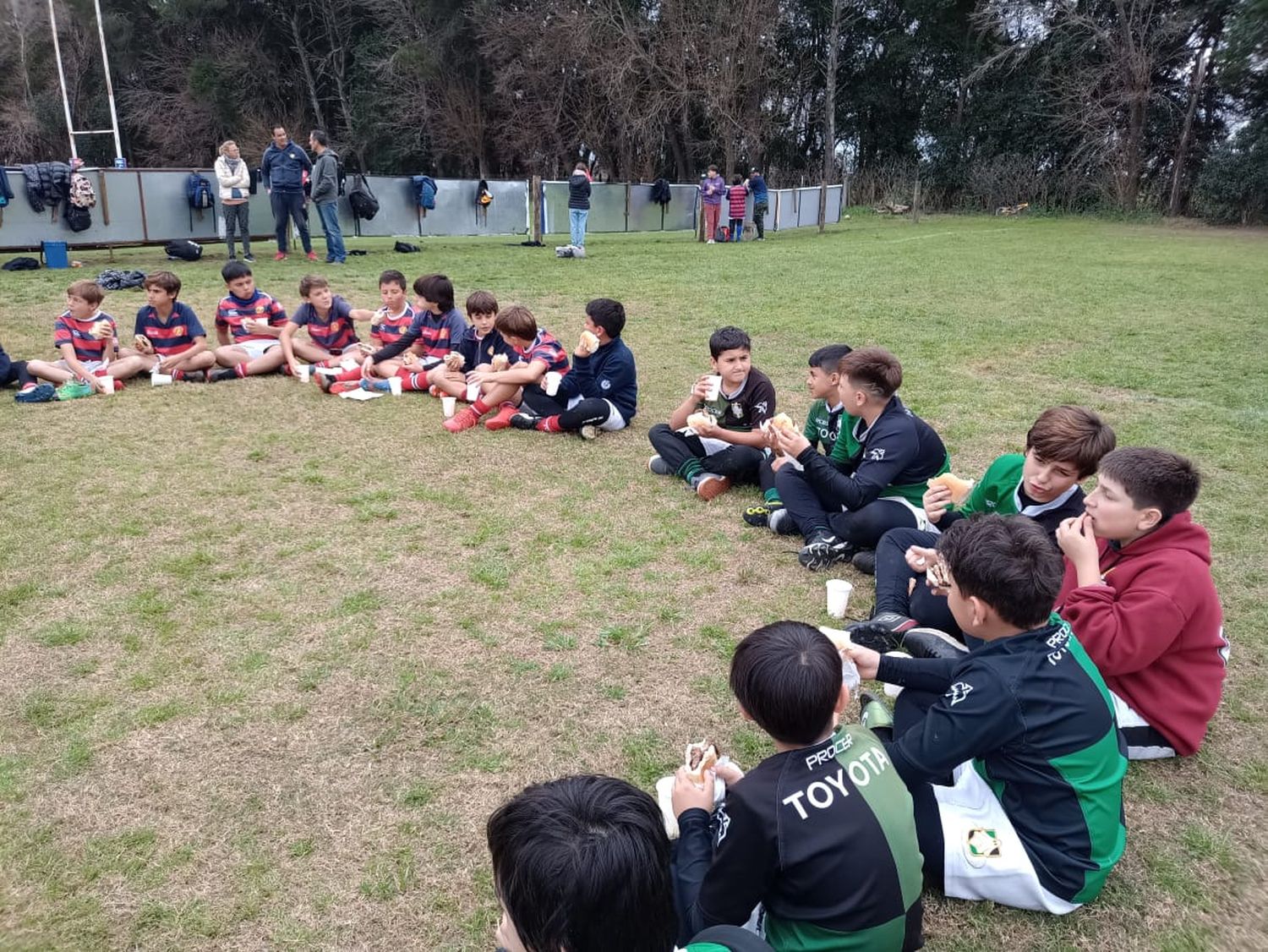 infantiles jockey