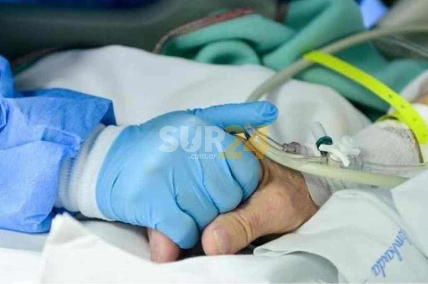 Coronavirus: 354 muertos y 11.561 nuevos contagios este sábado en Argentina