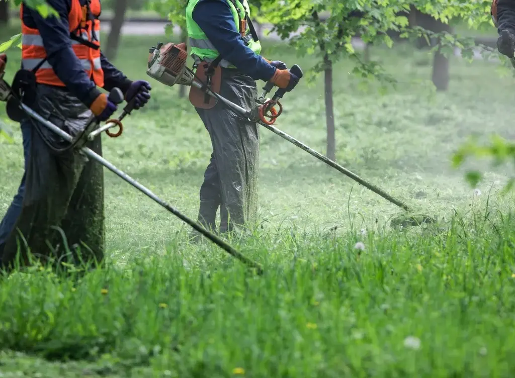 El mantenimiento de los espacios públicos en la mira de los vecinos