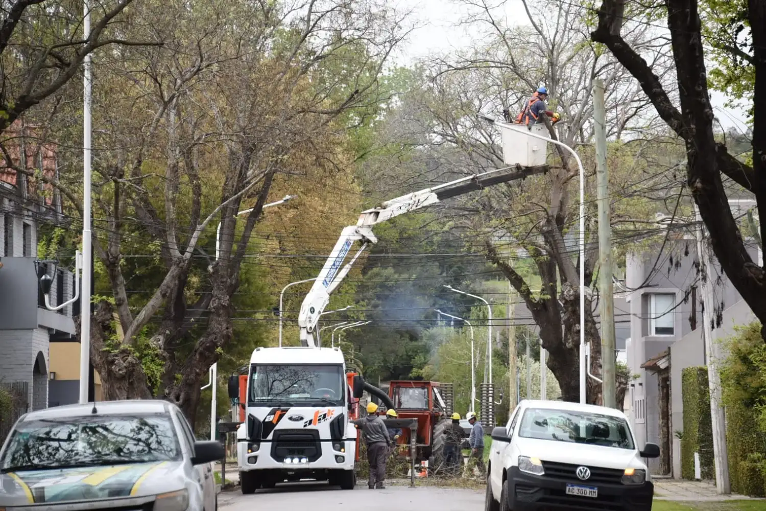 Con un plazo de 60 días, comenzaron los trabajos de remoción de los árboles de Richieri.