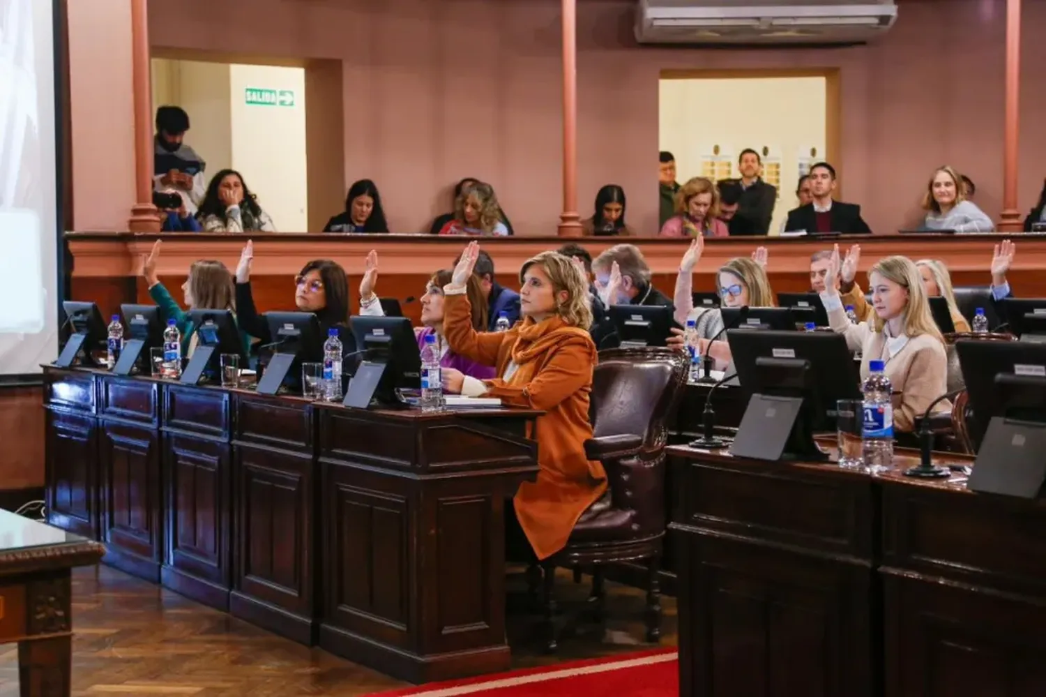 Diputados justicialistas solicitaron a Hein que convoque a los gremios para debatir la reforma jubilatoria