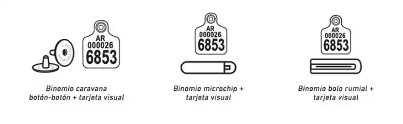 dibujo caravanas
