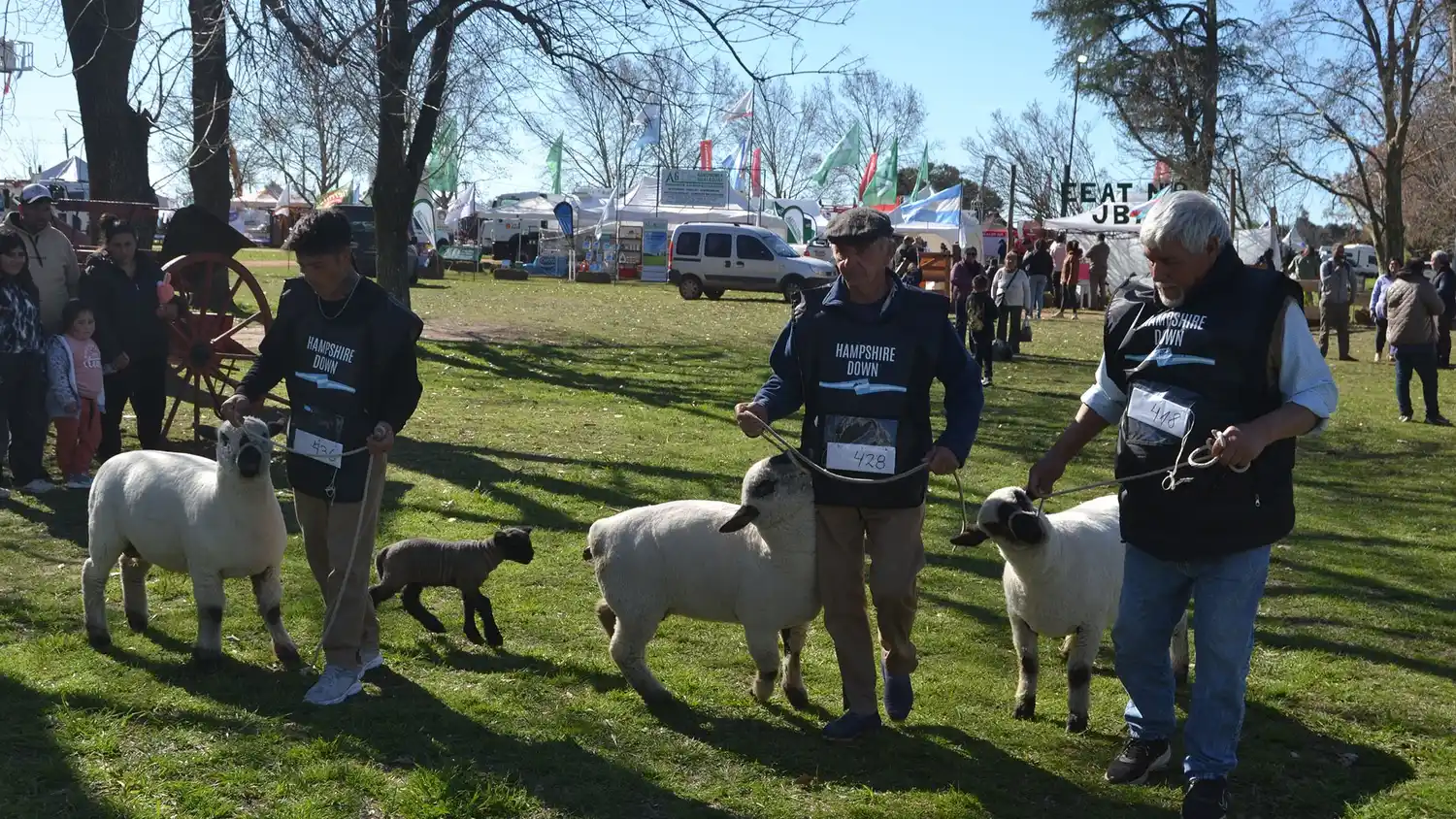 La raza Hampshire Down brilló en el primer día de la Expo Rural 2025