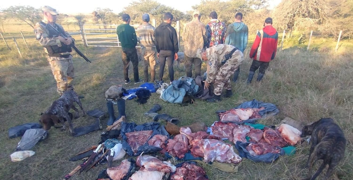 La Brigada Gualeguaychú interceptó a 11 cazadores furtivos: tenían más de 20 perros y animales silvestres faenados