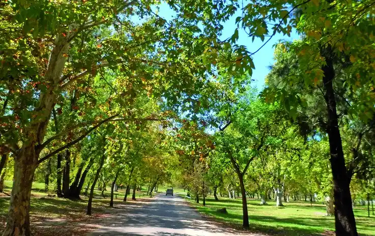 Subirán las temperaturas en Gualeguaychú y a mitad de semana llegarán a los 34 grados