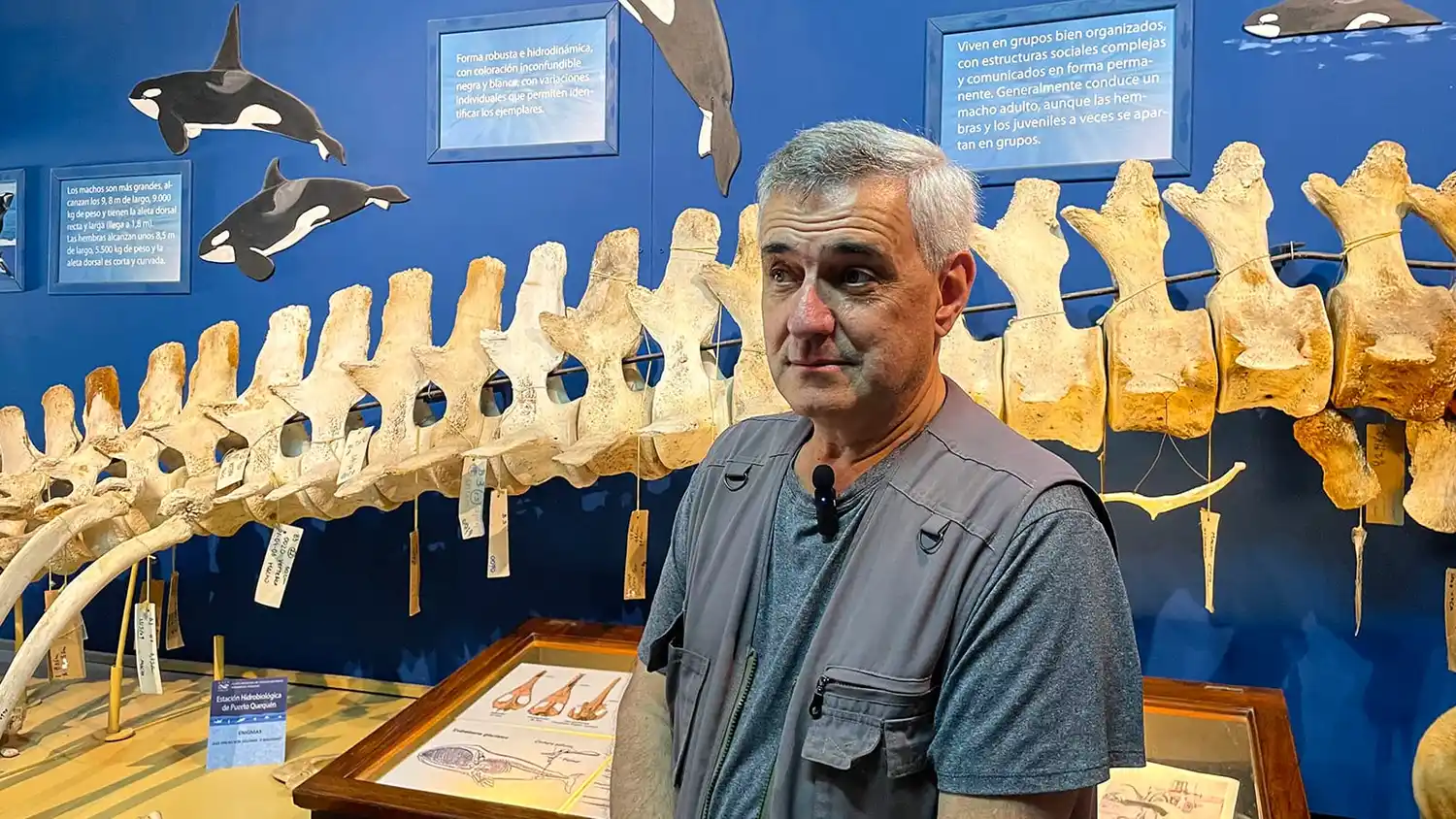 Dr. en Ciencias Biológicas Gustavo Chiaramonte