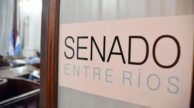 El Senado debate el proyecto que prohíbe las designaciones en el Estado en el último año de gestión
