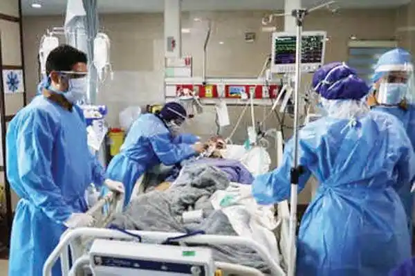 Confirmaron 430 muertes y 12.145 nuevos contagios en las últimas horas