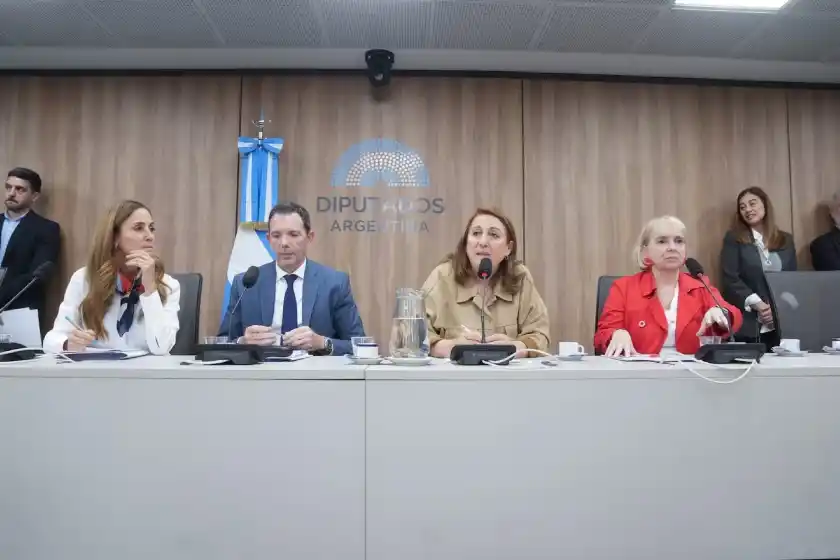 Comisión Investigadora de fentanilo contaminado.