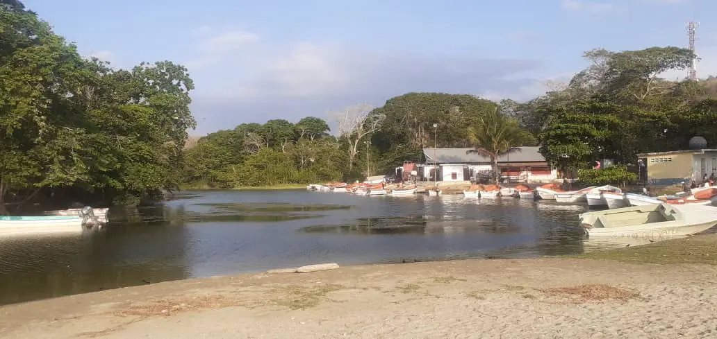 Joven muere desnucado tras lanzarse un clavado en río de Caruao