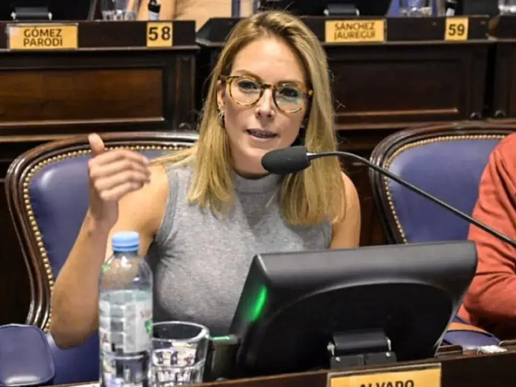La iniciativa fue presentada por la diputada de Unión por la Patria, Mayte Alvado.