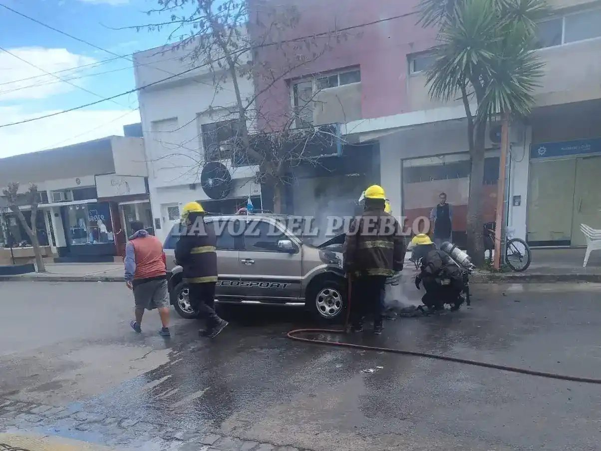 Intervino a las 14.35 horas una dotación de bomberos voluntarios, a cargo de Federico Marconi