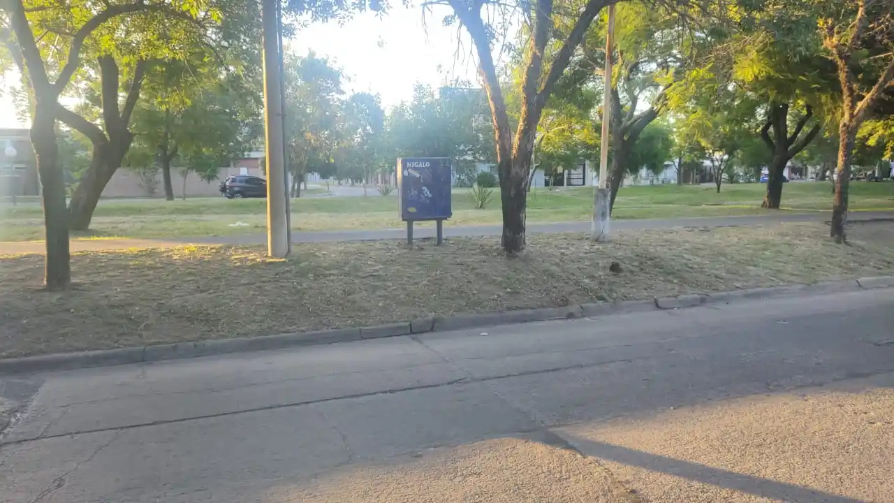Luego abrieron el portón de una cochera y sustrajeron una moto.