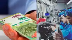 Aumento a beneficiarios del plan Potenciar Trabajo