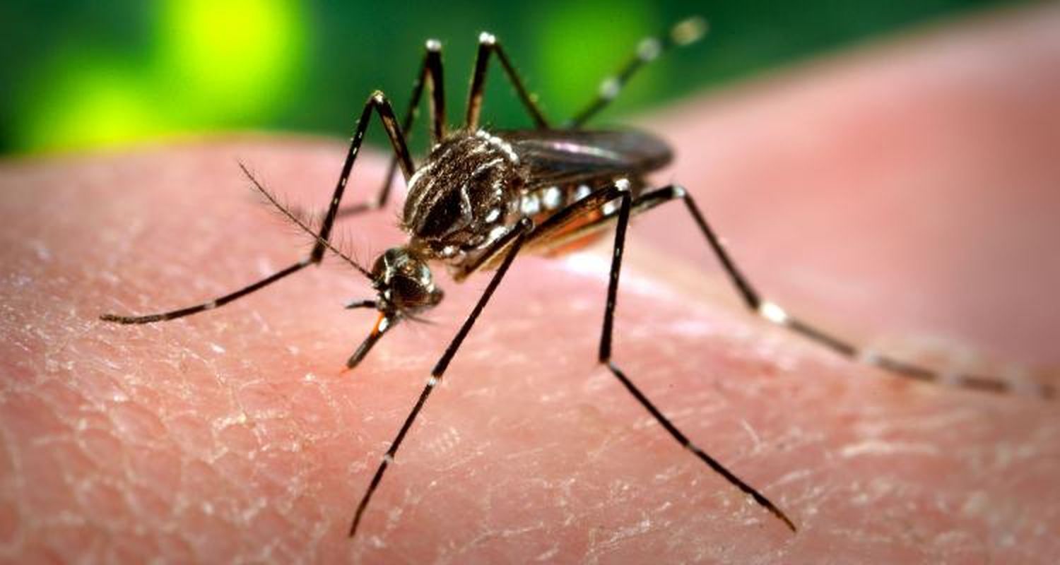 Este martes, capacitación sobre el Dengue