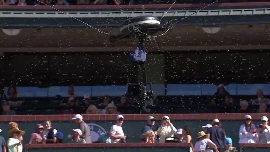 Alcaraz se impuso en un partido que estuvo suspendido por una invasión de abejas