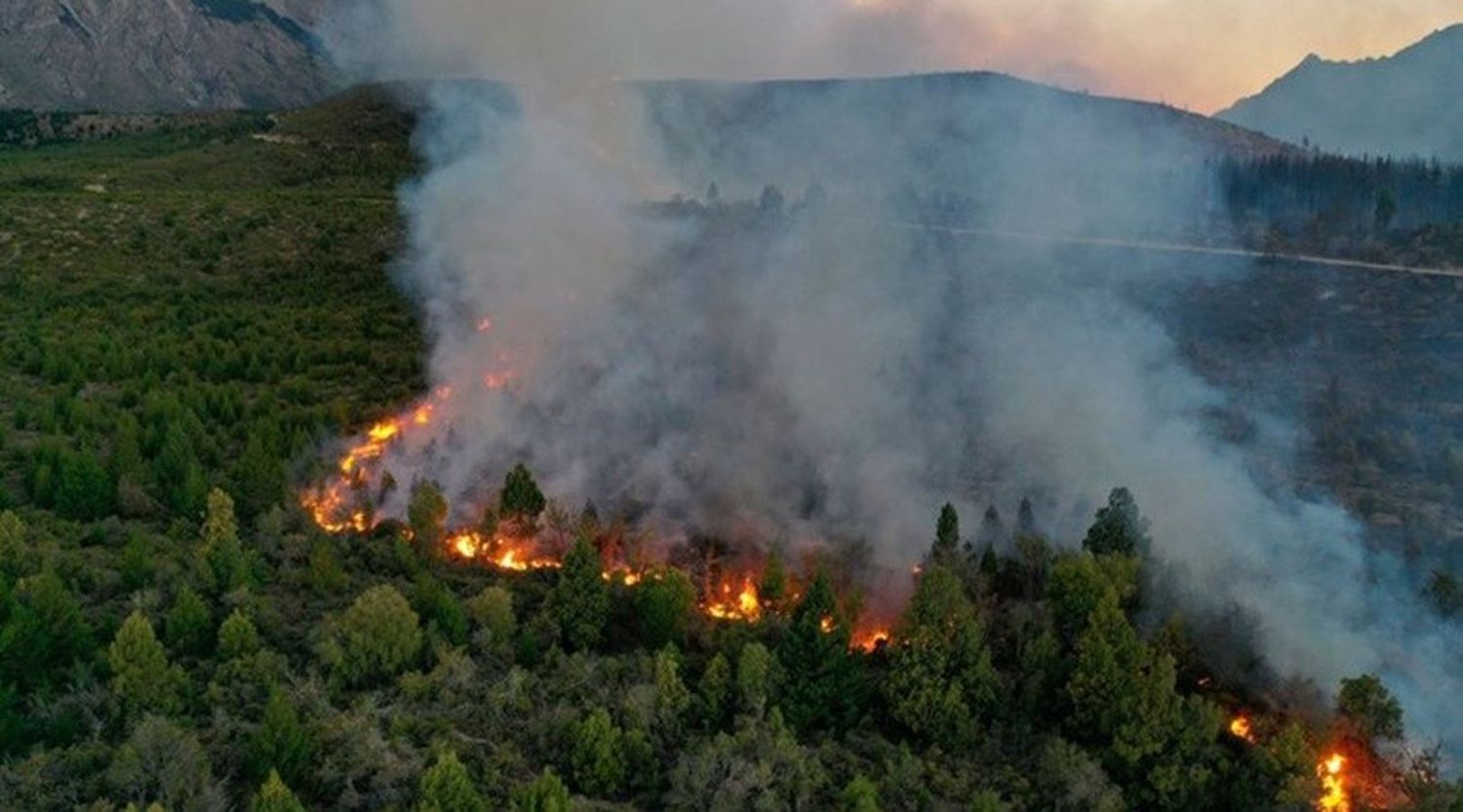 Tras los incendios en El Bolsón reportaron casi 10.000 hectáreas quemadas