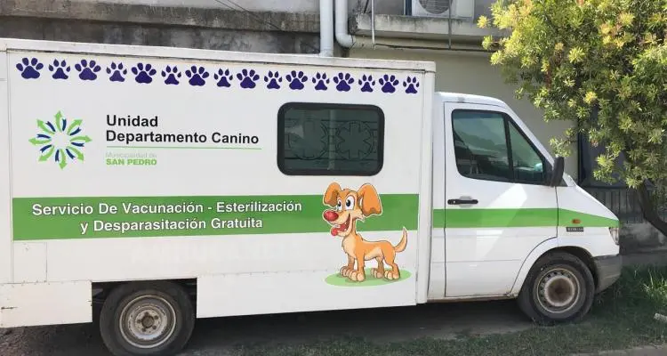 Castraciones: Con un vehículo el municipio comienza a trasladar perros callejeros