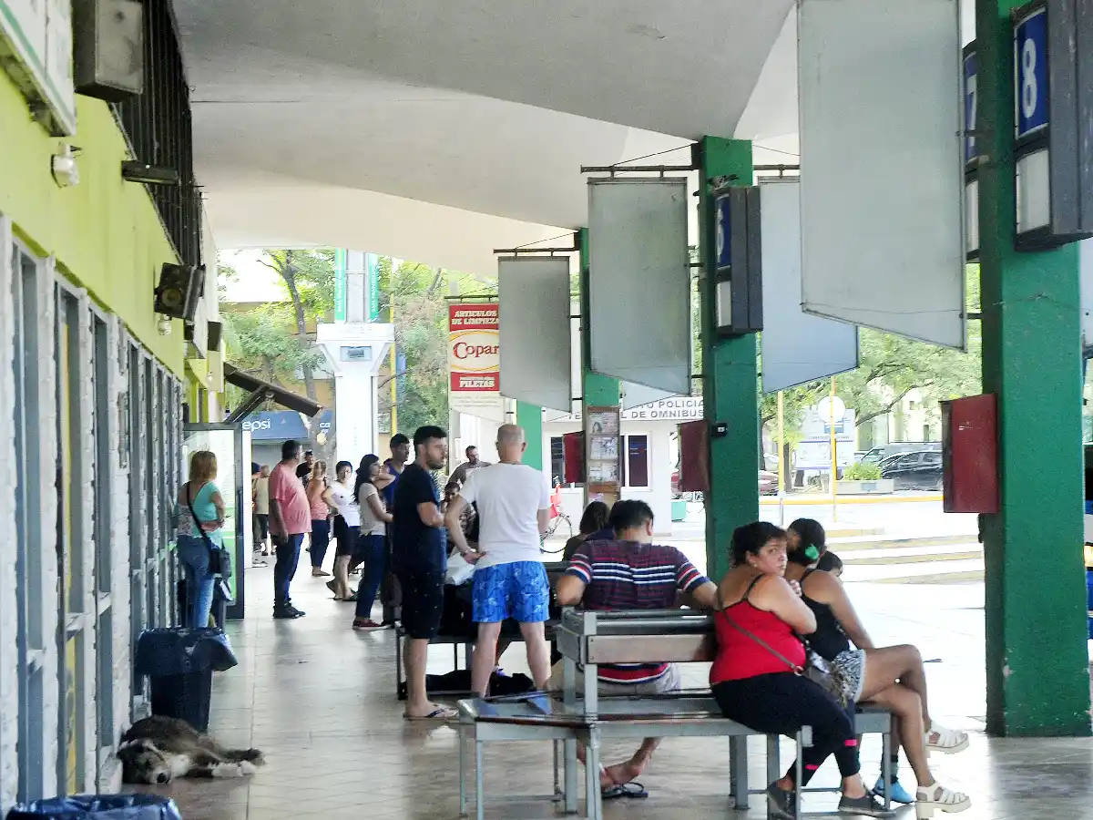 Vacaciones en “bondi”:  la demanda de pasajes en febrero se mantiene