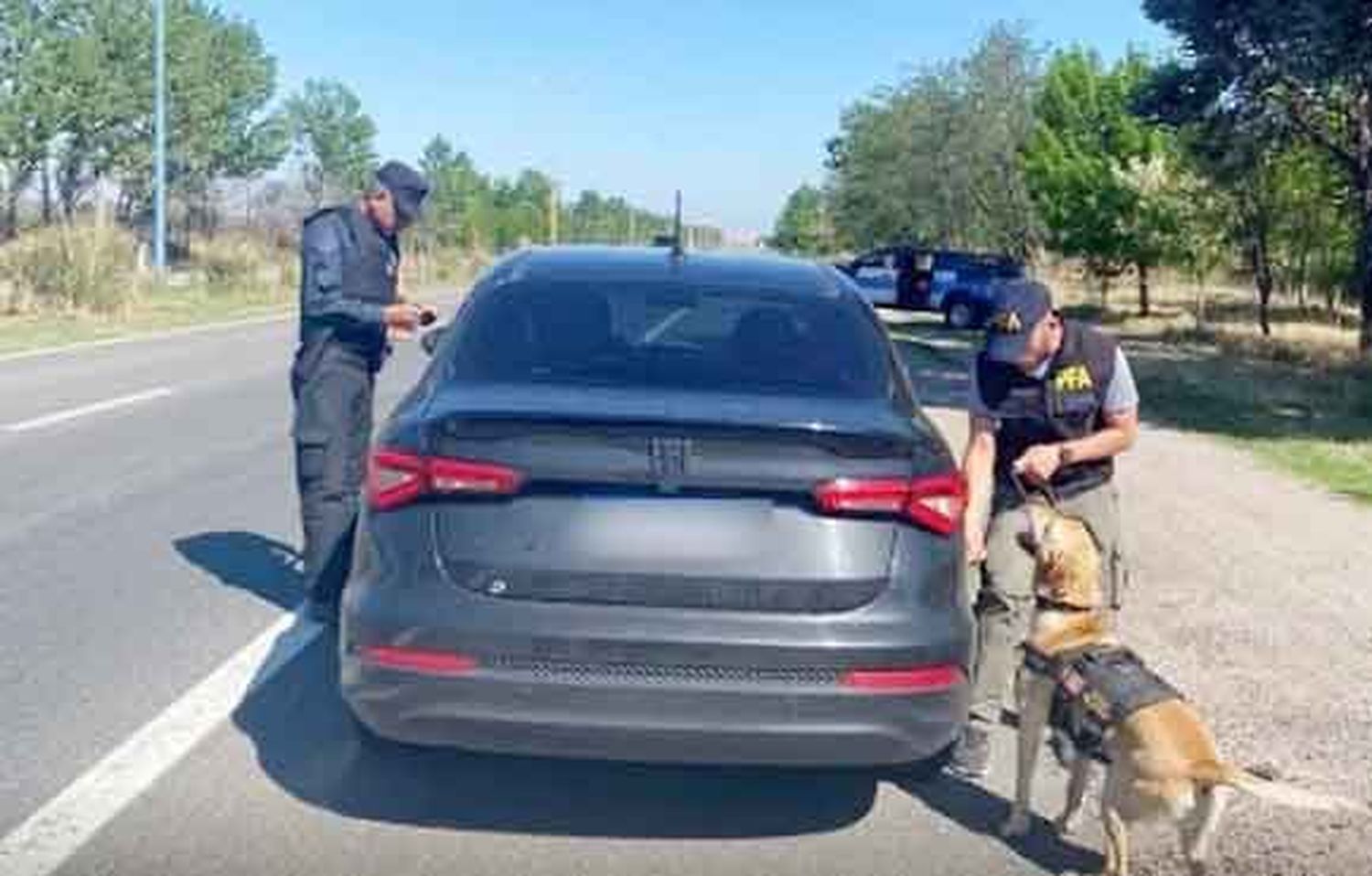 La Policía Federal Argentina secuestró gran cantidad de drogas