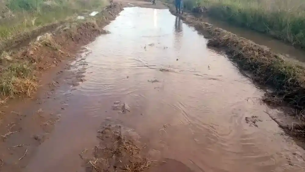 En 9 de Julio, los caminos rurales son un objetivo.