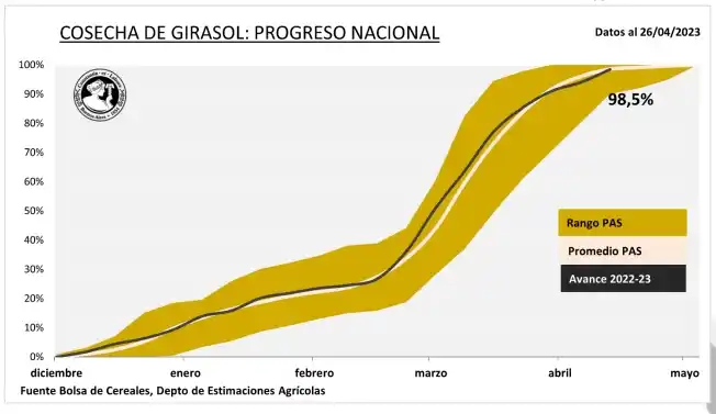 La cosecha gruesa continua a buen ritmo, con menores rindes