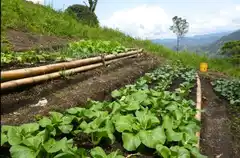 Proponen fomentar la agroecología a través de proyecto de ley