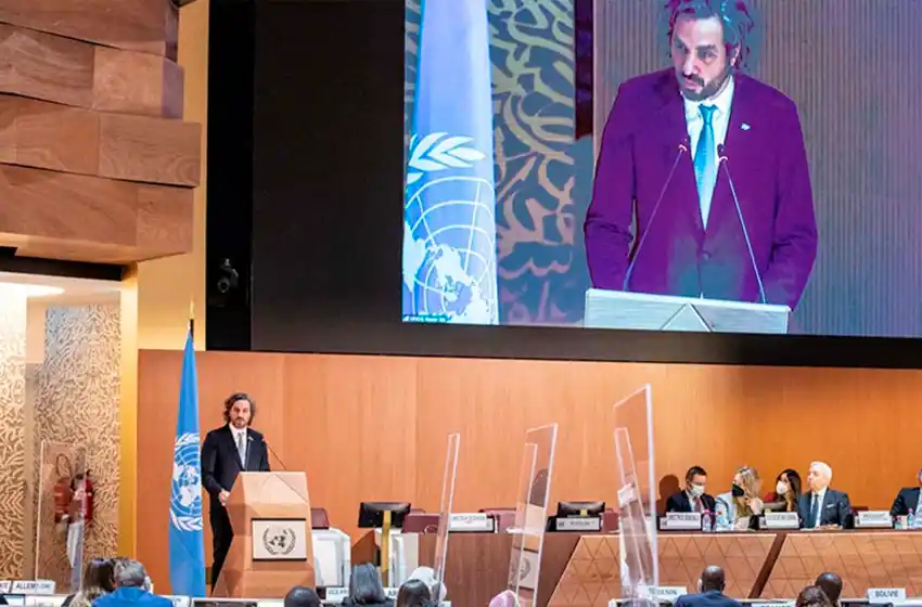 Argentina condenó la invasión rusa a Ucrania ante la ONU