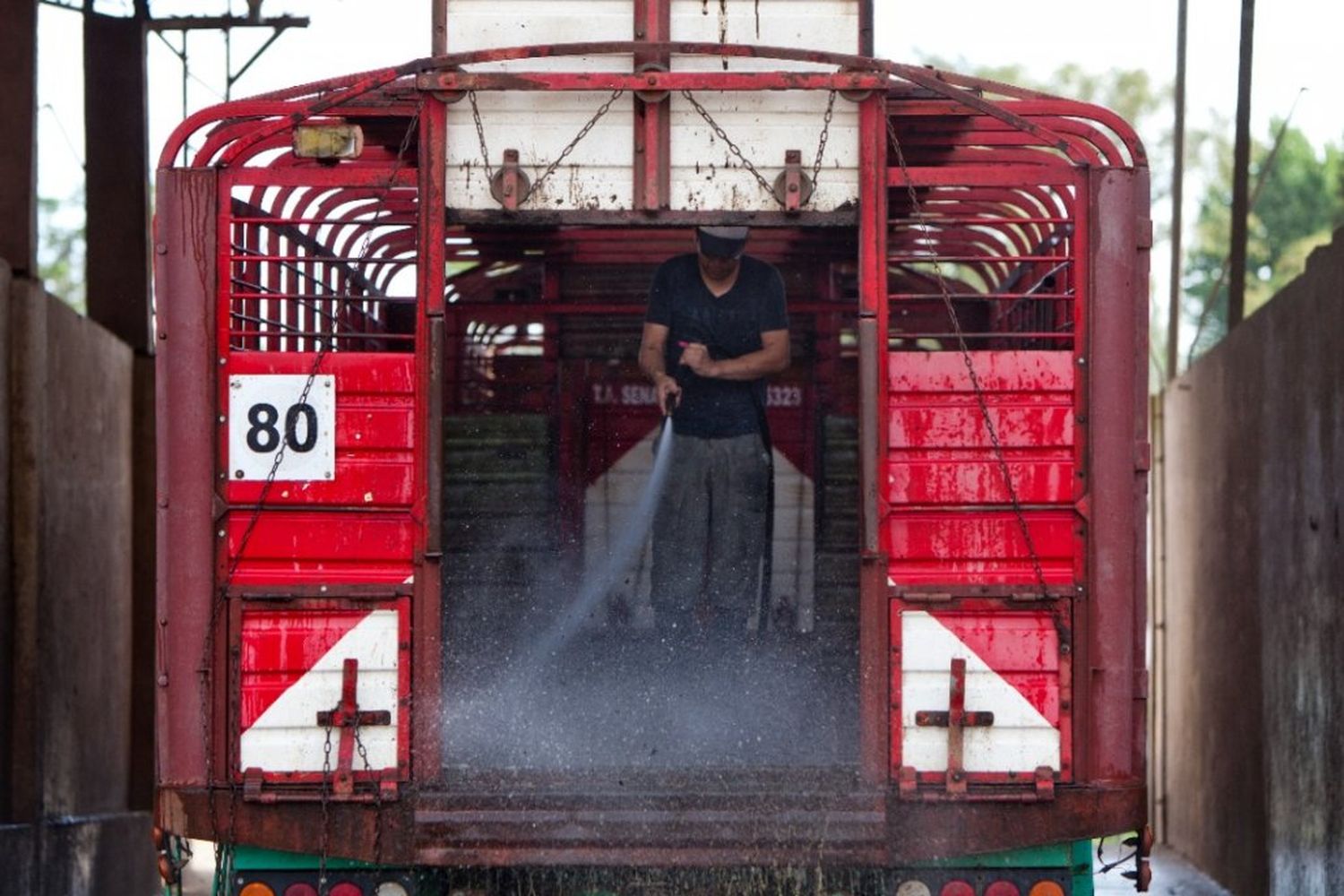 Prevenir el estrés al transportar hacienda hoy en día es un deber