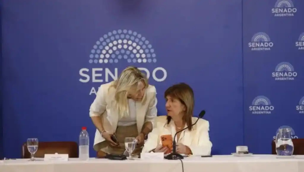 Bullrich, jefa del bloque libertario en el Senado