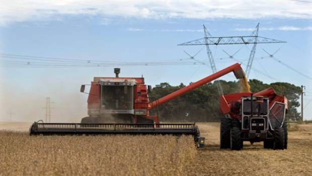 Argentina tercer productor mundial de oleaginosas