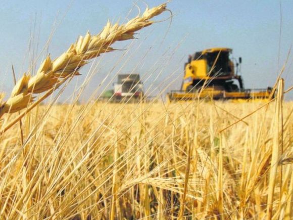 Las bolsas de cereales y comercio celebraron la continuidad de la rebaja de retenciones