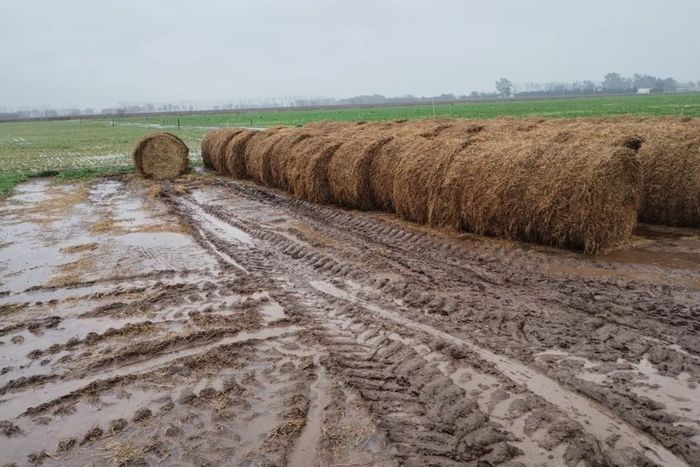 Perspectiva agroclimàtica