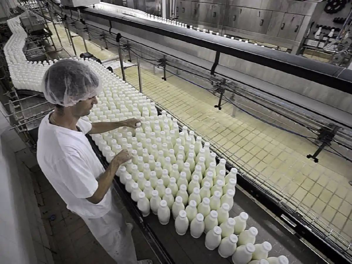La producción de leche obtuvo un crecimiento promedio del 8% 