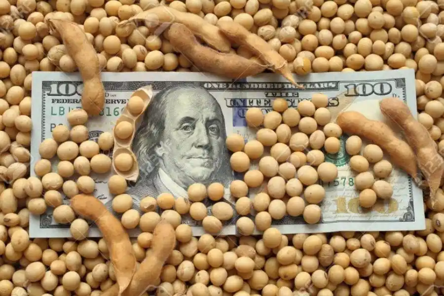 Las ventas de soja suman 6,7 millones de toneladas y el BCRA gana reservas
