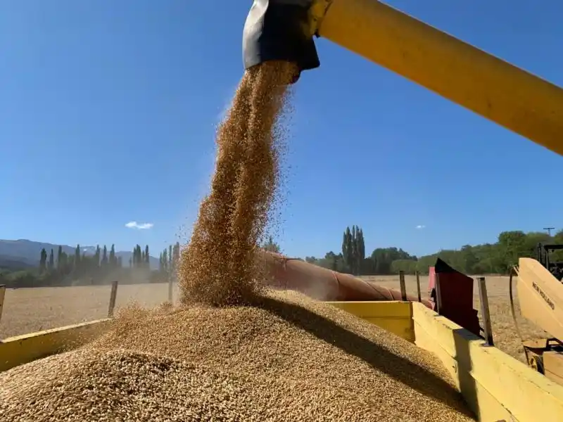Cierre de los mercados del 30 de noviembre
