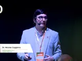 El estrés oxidativo es un enemigo invisible en el rendimiento de los equinos deportivos