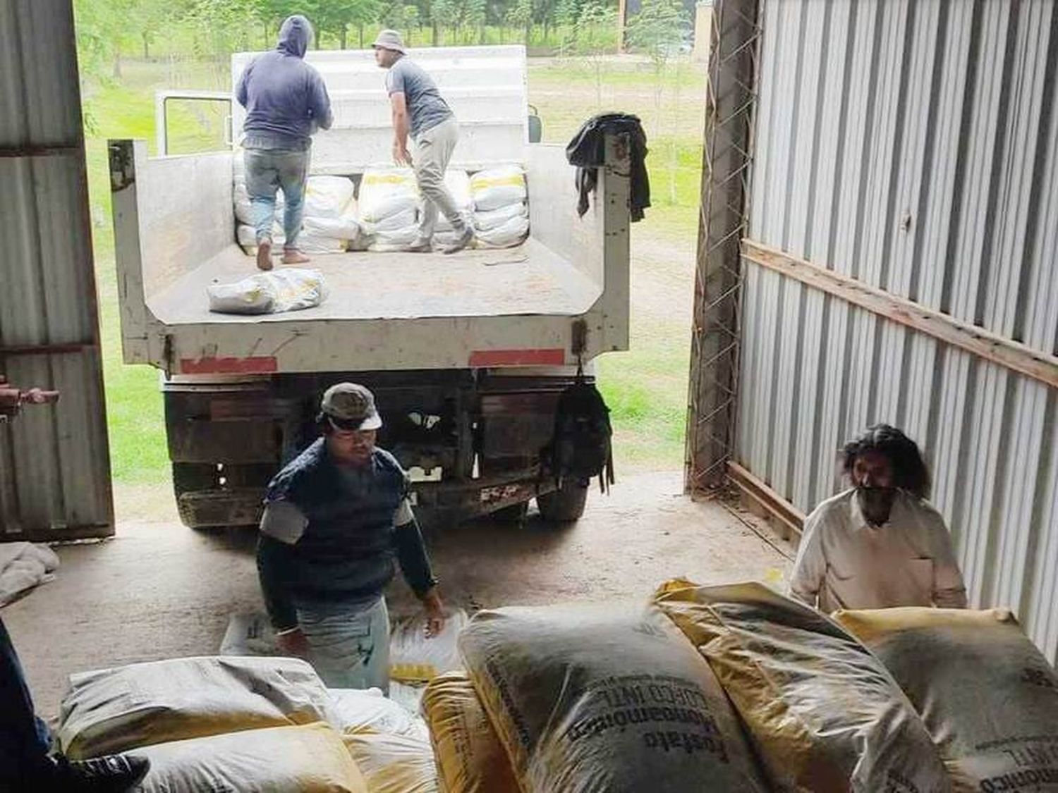 Terminó la entrega de fertilizantes
a productores de banana