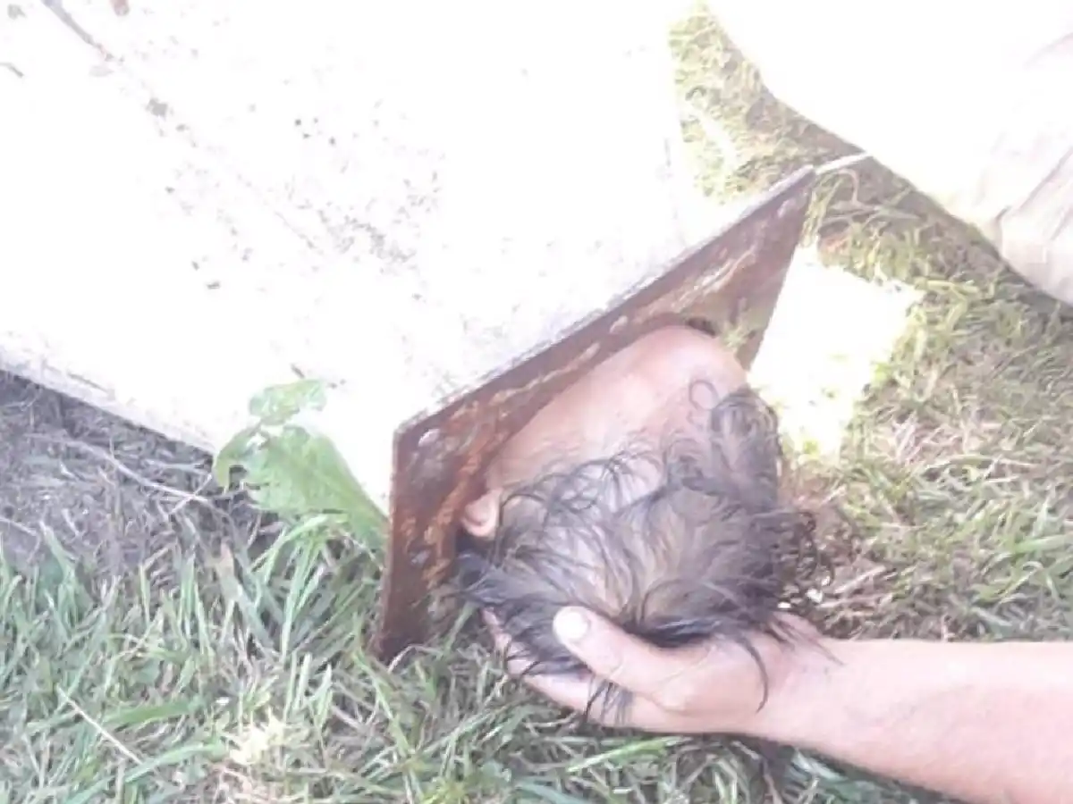 Buenos Aires: rescataron a un nene atrapado en la campana de una parrilla