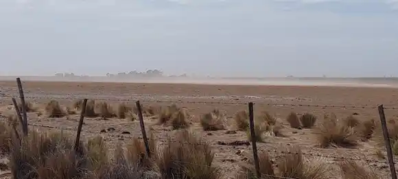 Sequía en Patagones: Esperan la visita del secretario de Agricultura de la Nación en medio de malos pronósticos
