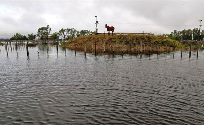 Intendente de General Villegas: “El 40 por ciento de los tambos ha dejado de producir”